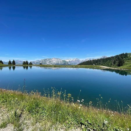 Samoens 1600 Studio Au Pied Des Pistes 외부 사진