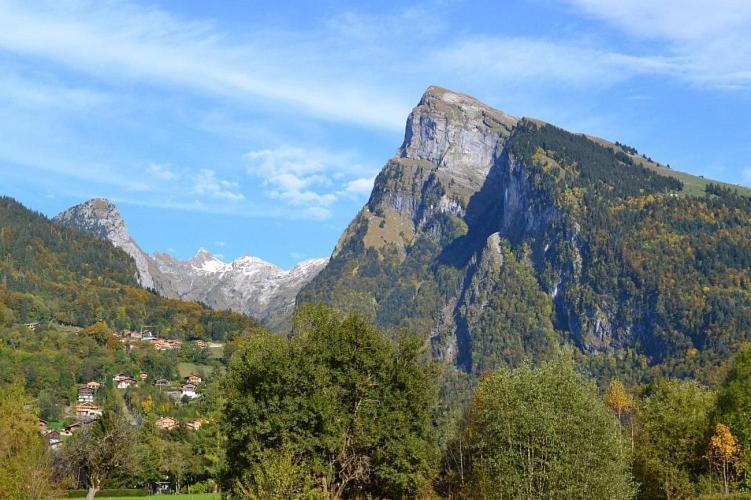 Samoens 1600 Studio Au Pied Des Pistes 외부 사진